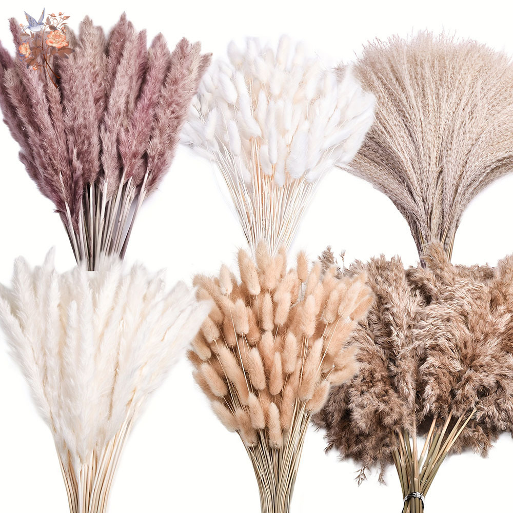 Pampas Grass Decor - 320 Adet Karışık Kabarık Büyük Pampas